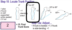 RULA Step 10-Locate Trunk Position 