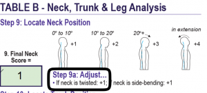 RULA Step - 9 Locate Neck Position 